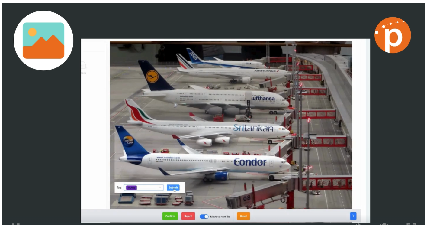 PECAT video annotation