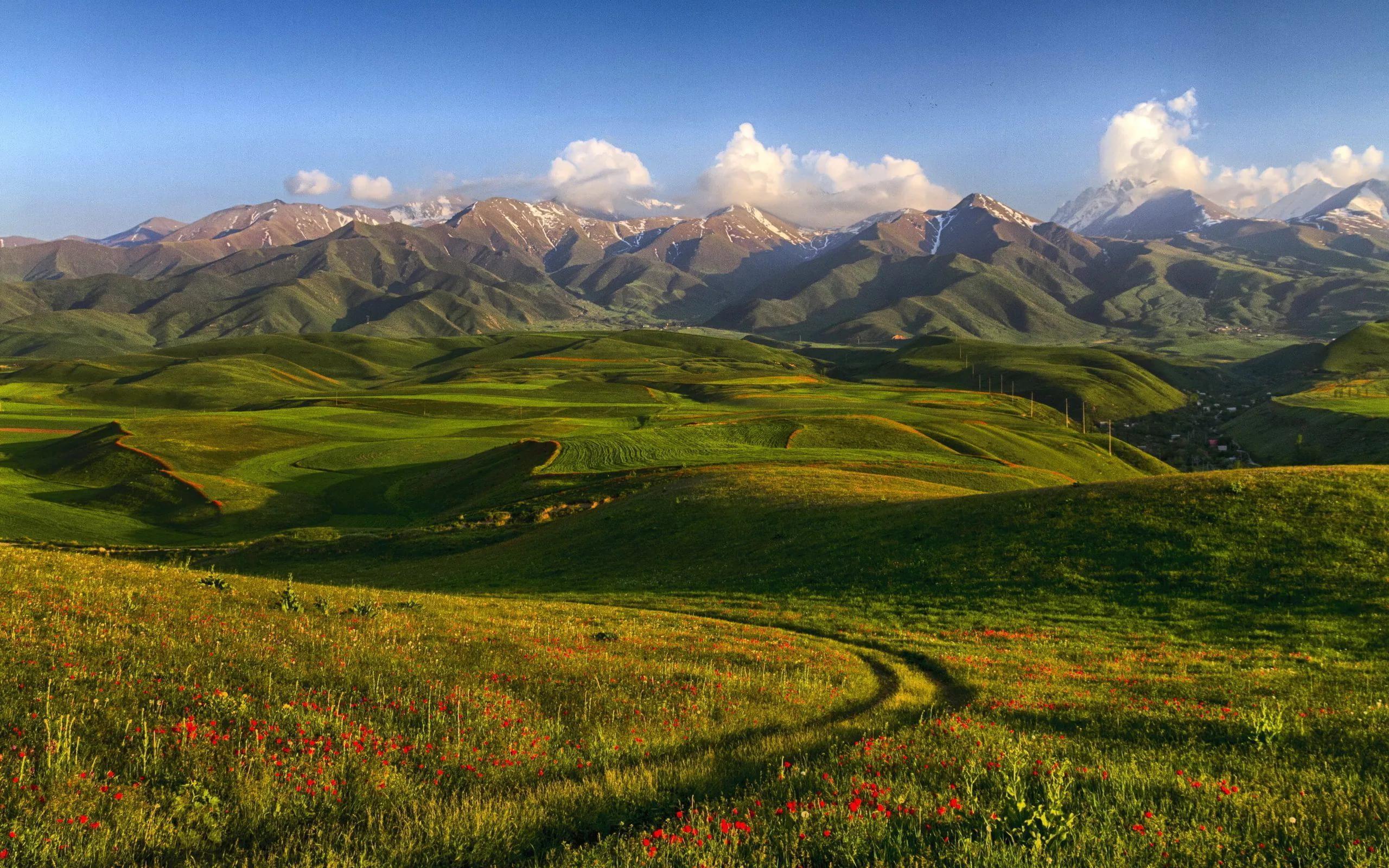 kyrgyz